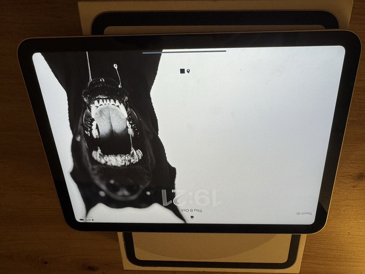 Apple Tablet PC: iPad (A16) 2 Monate zu leben – Nuovo (secondo la descrizione) da Rorschach venduto da fas_p6fl 6