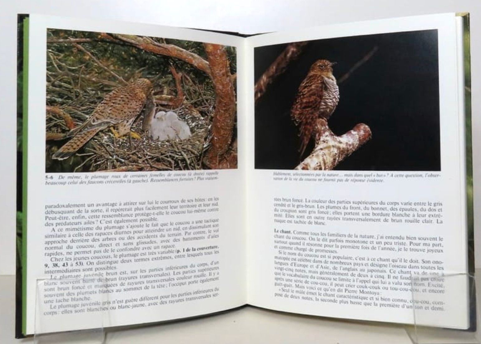 Libri: Le coucou -  collection Comment vivent-ils ? – Usato da Le Locle venduto da LibrairieLaBergerie 1