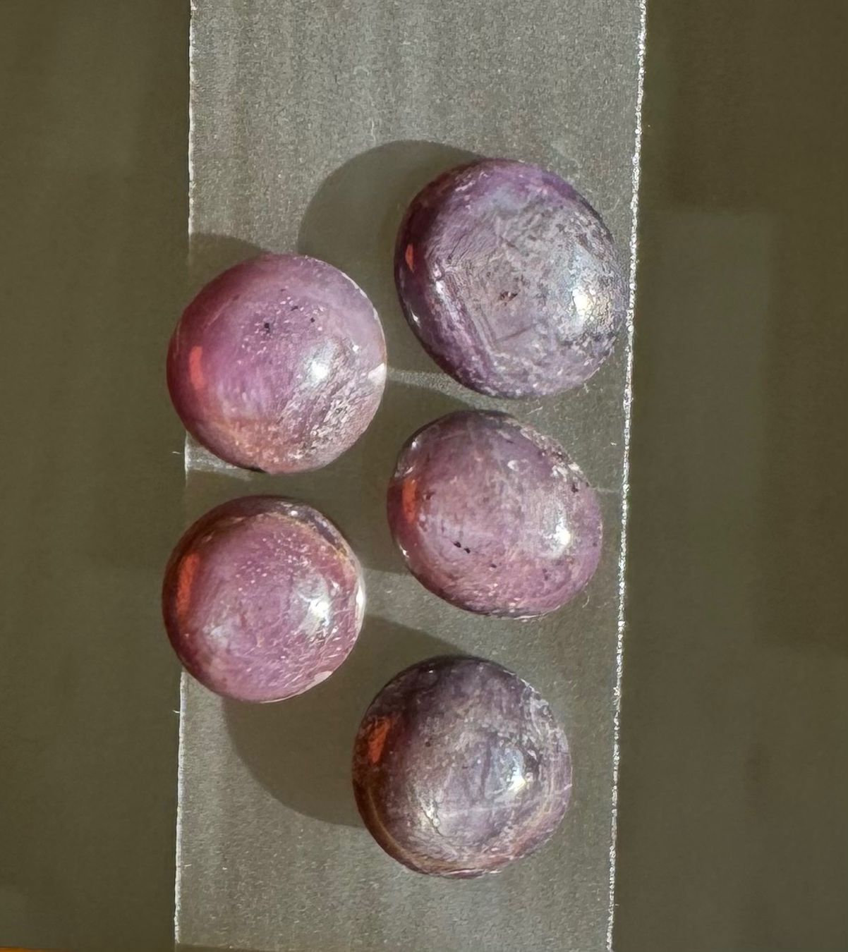 Pietre preziose: Stern Rubin 5 Cabochons wunderschön ECHT – Nuovo e nell'imballaggio originale da Leuggern venduto da gemshow 1