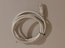 Cavo Ethernet