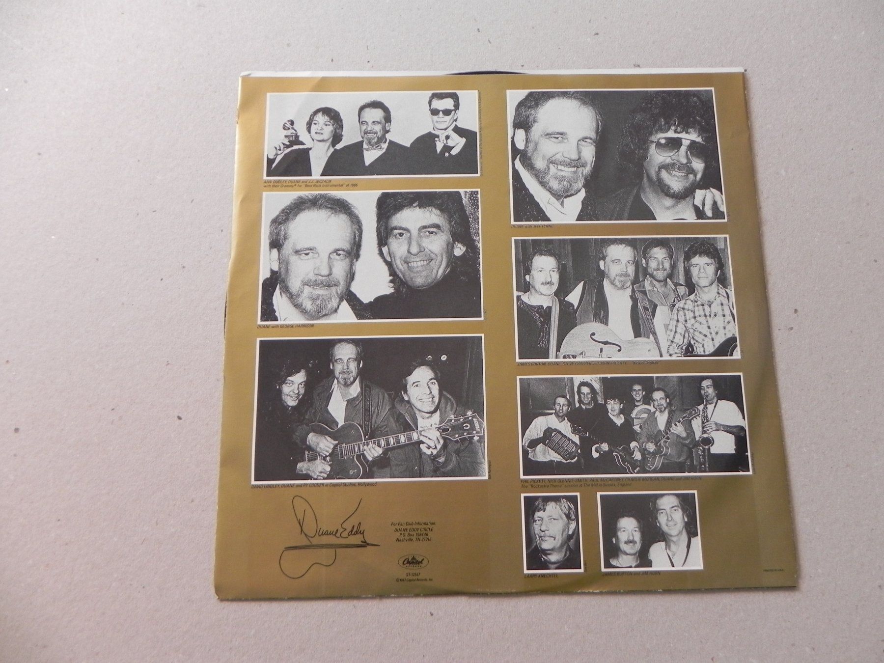 Dischi in vinile: LP USA Rock Duane Eddy 1987 The Rebels – Usato da Siebnen venduto da krimsie 2