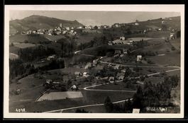AK Wald /App., Ortsansicht mit Kirche aus der Vogelschau