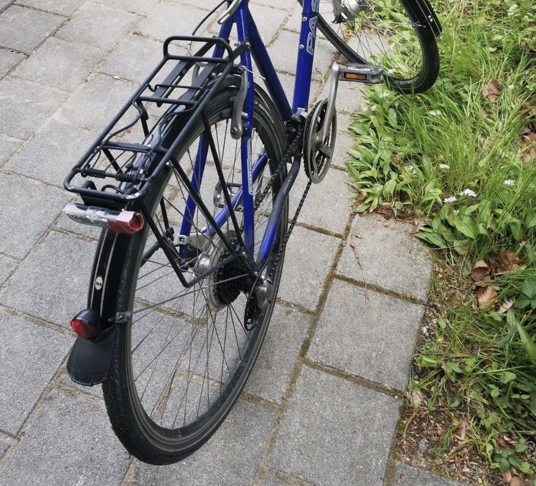 Velos: Passat Manicoure Bicyle – Gebraucht aus Kastanienbaum von davids_closet 2