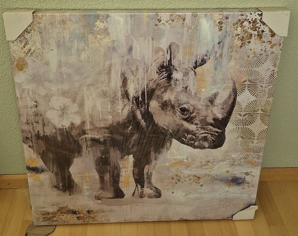 Foto & Immagini: Nashorn - wild life  – Usato da Hochwald venduto da MrSale