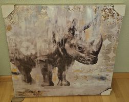 Nashorn - wild life 