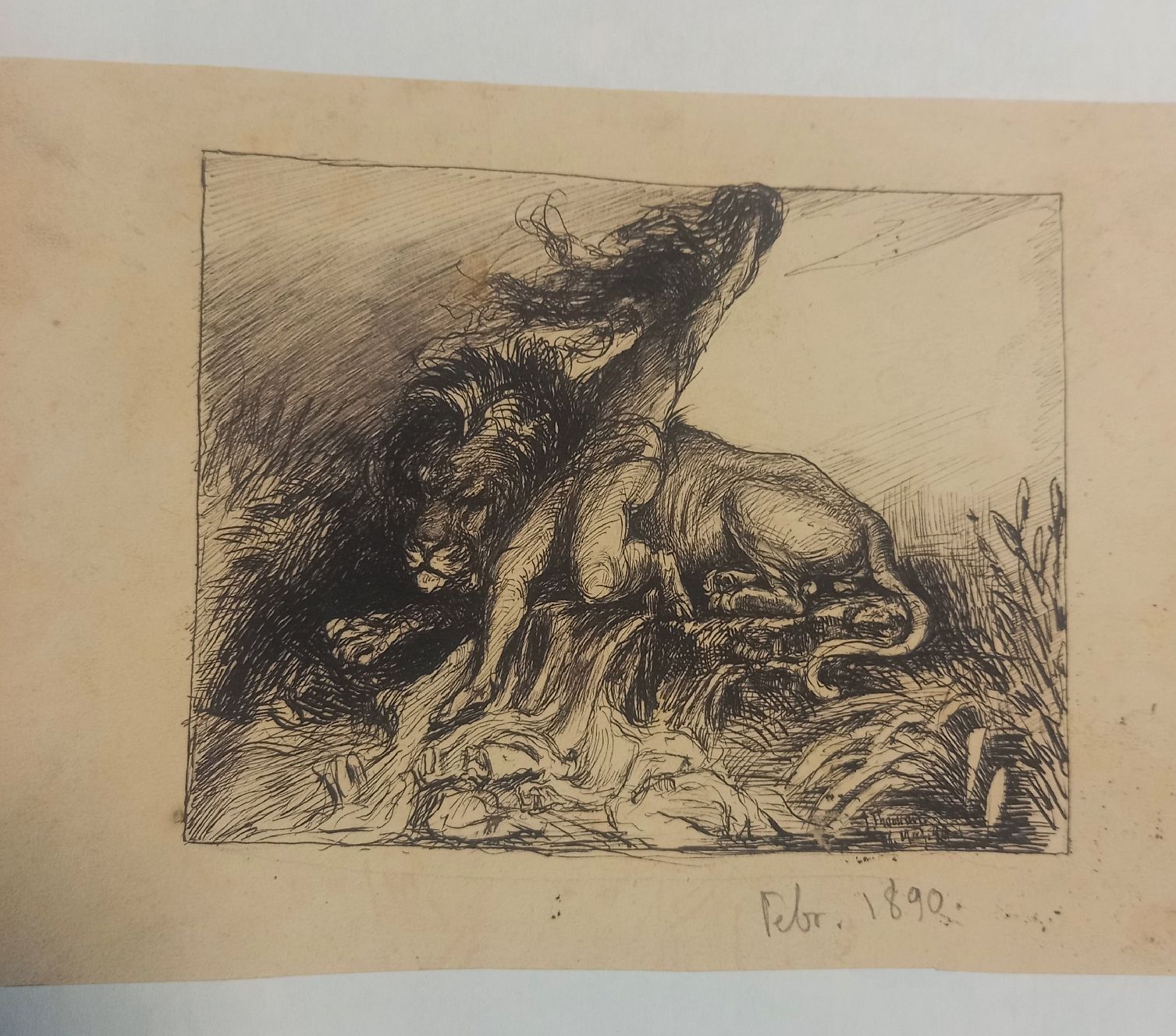 Dipinti: Dipinto inchiostro J.Thomann 1890 – Usato da Minusio venduto da epp_cty9