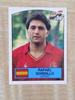 Panini Euro 1988 Einzelsticker Nr. 145