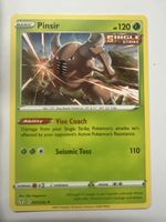 Pinisir Pokémon 