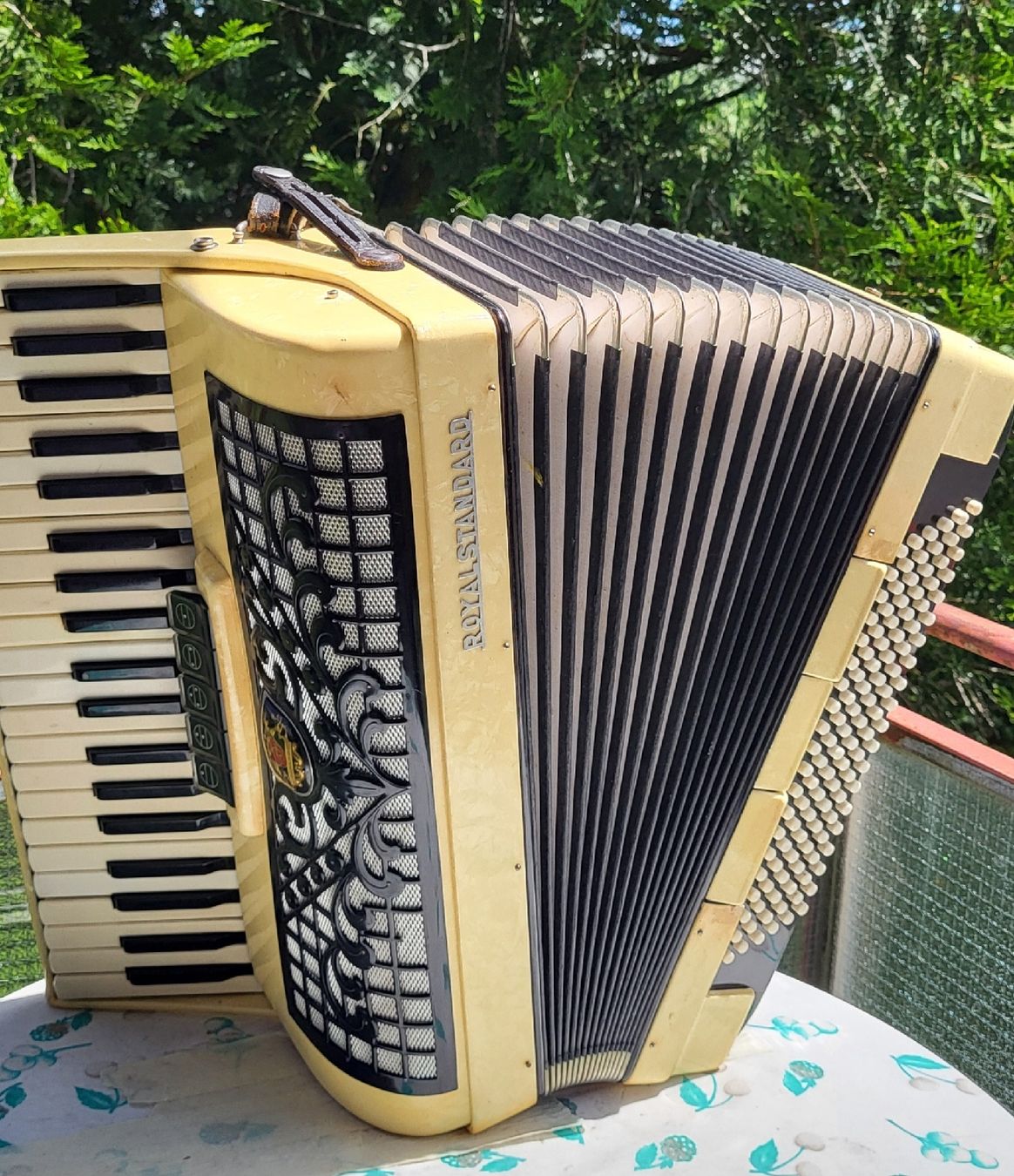 Strumenti musicali: Accordéon Royal standard – Usato da Penthalaz venduto da EvandroLuz 3