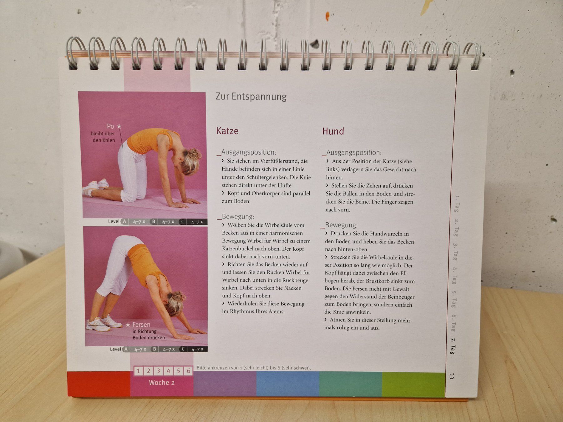 Libri: BUCH Der BBP-Trainer – Usato da Mezzovico venduto da maemy 5