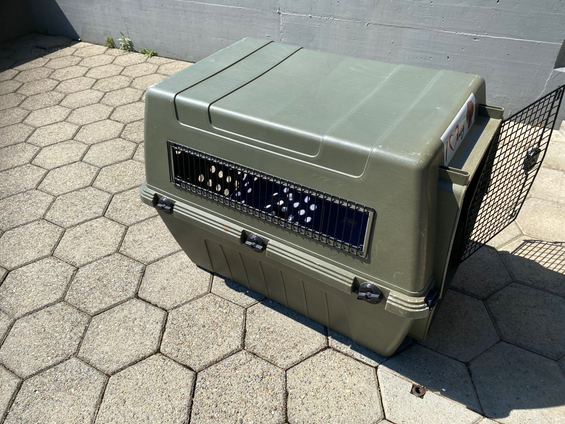 Gabbie, trasporto & Sicurezza: Hunde Transportbox Kennel – Usato da Dierikon venduto da aiko05
