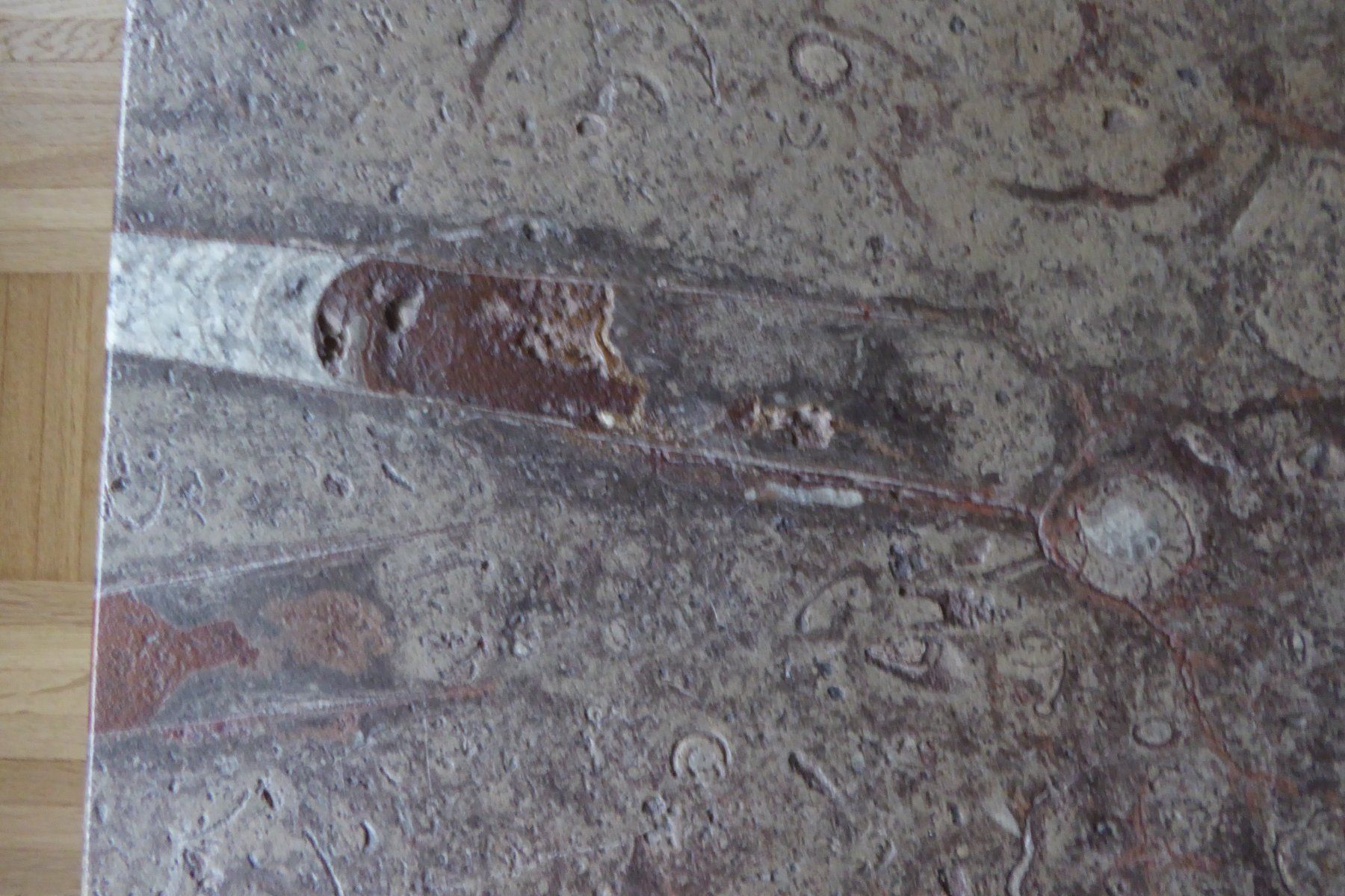 Tavoli: Salontisch Natursteinplatte "Fossilien" – Usato da Bischofszell venduto da MZumbach 5