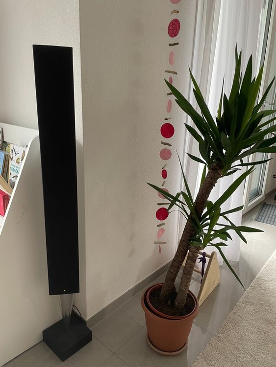 1 x BeoLab 8000 (Gebraucht) in Oberlunkhofen für CHF 195 – mit ...