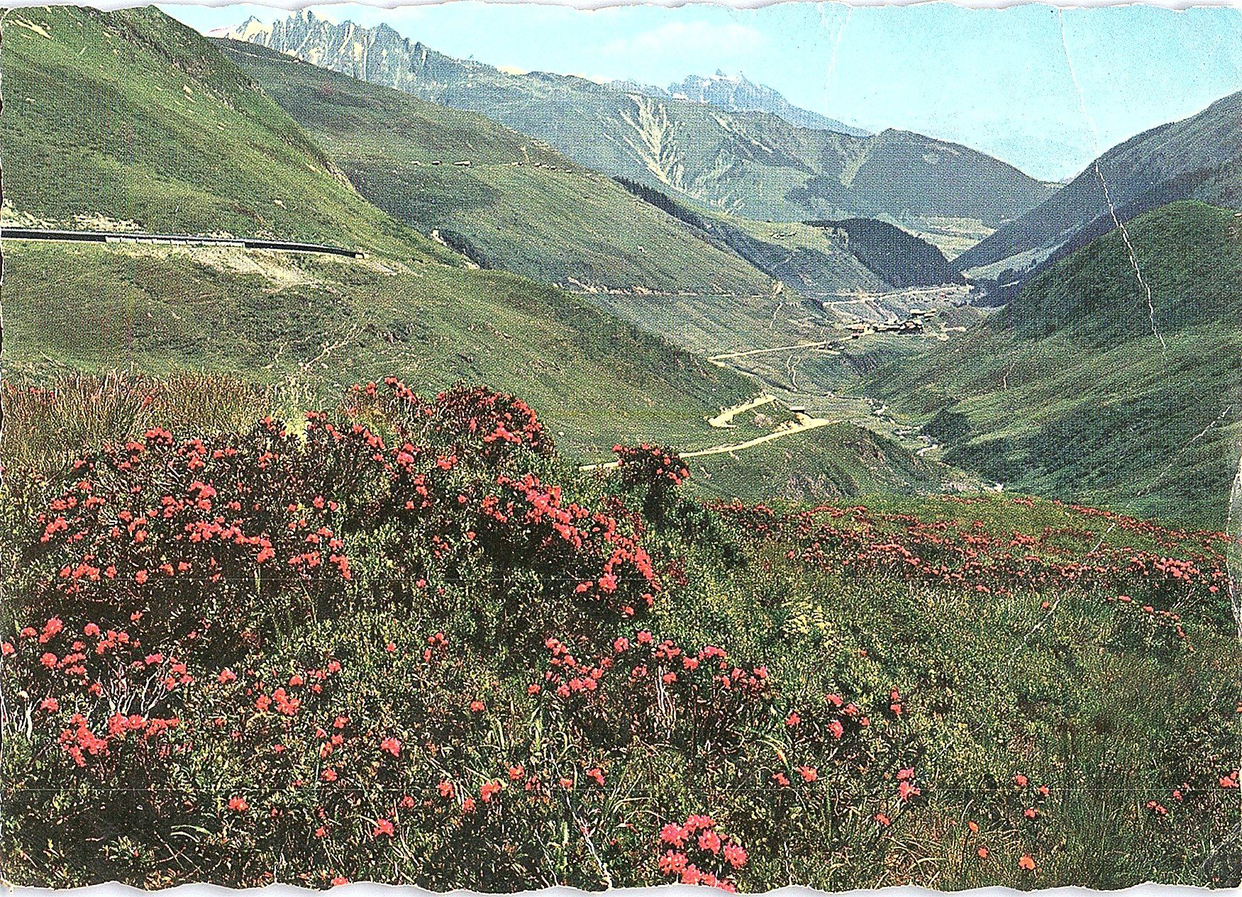 Cartoline postali: AK Oberalppass und Tschamutt 1960 – Usato da Würenlos venduto da KKMeister