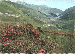 AK Oberalppass und Tschamutt 1960