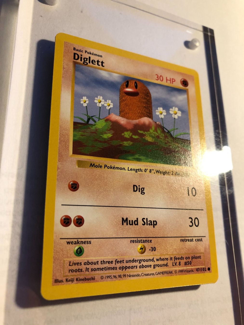 Cartes à collectionner: Diglett Base Set Shadowless - MINT - ab 1.- – D'occasion à Giubiasco par dan_pr8b 1