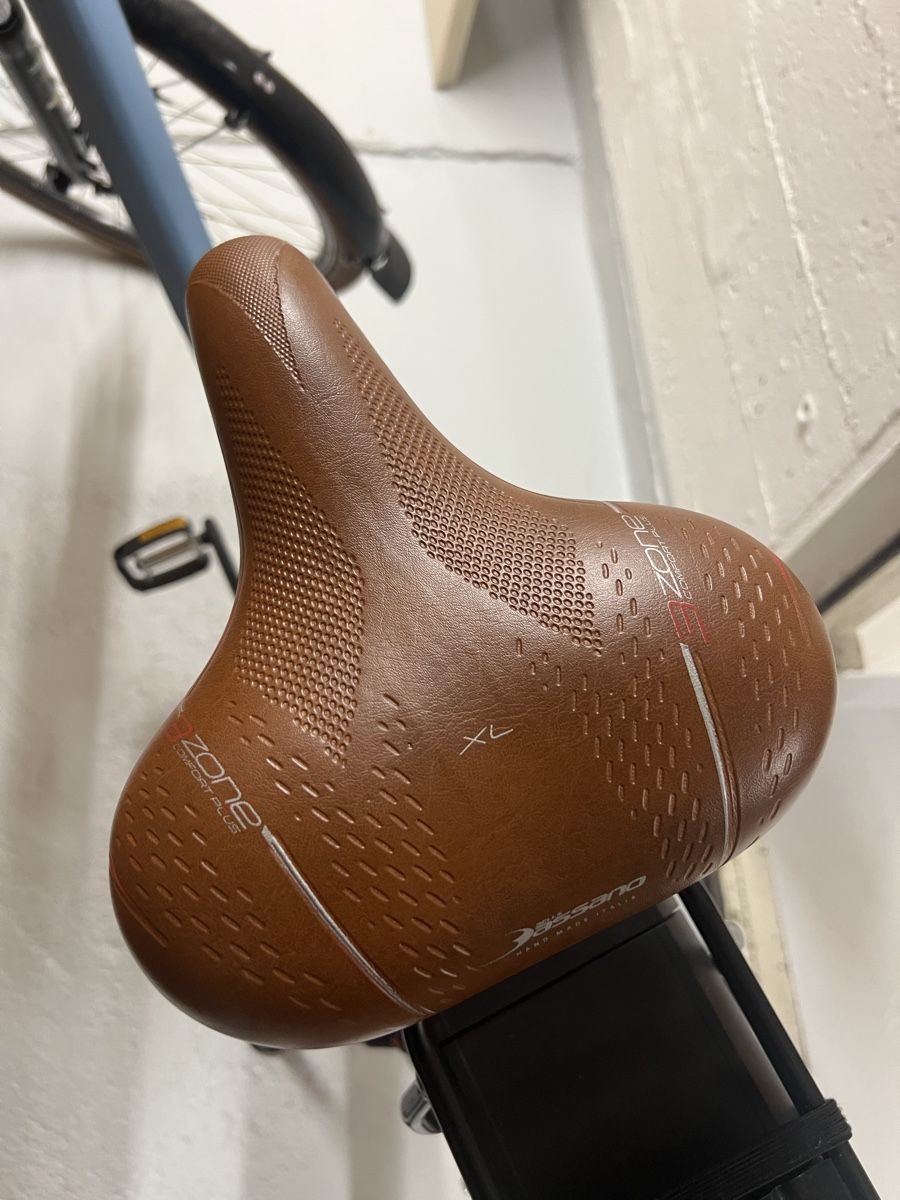 Riese & Müller Biciclette: Riese & Müller Swing City bike – Usato da Zürich venduto da jkbkr 6