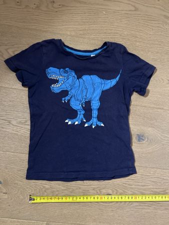 T-Shirt Gr. 110 mit Dino Motiv für kleine Entdecker!