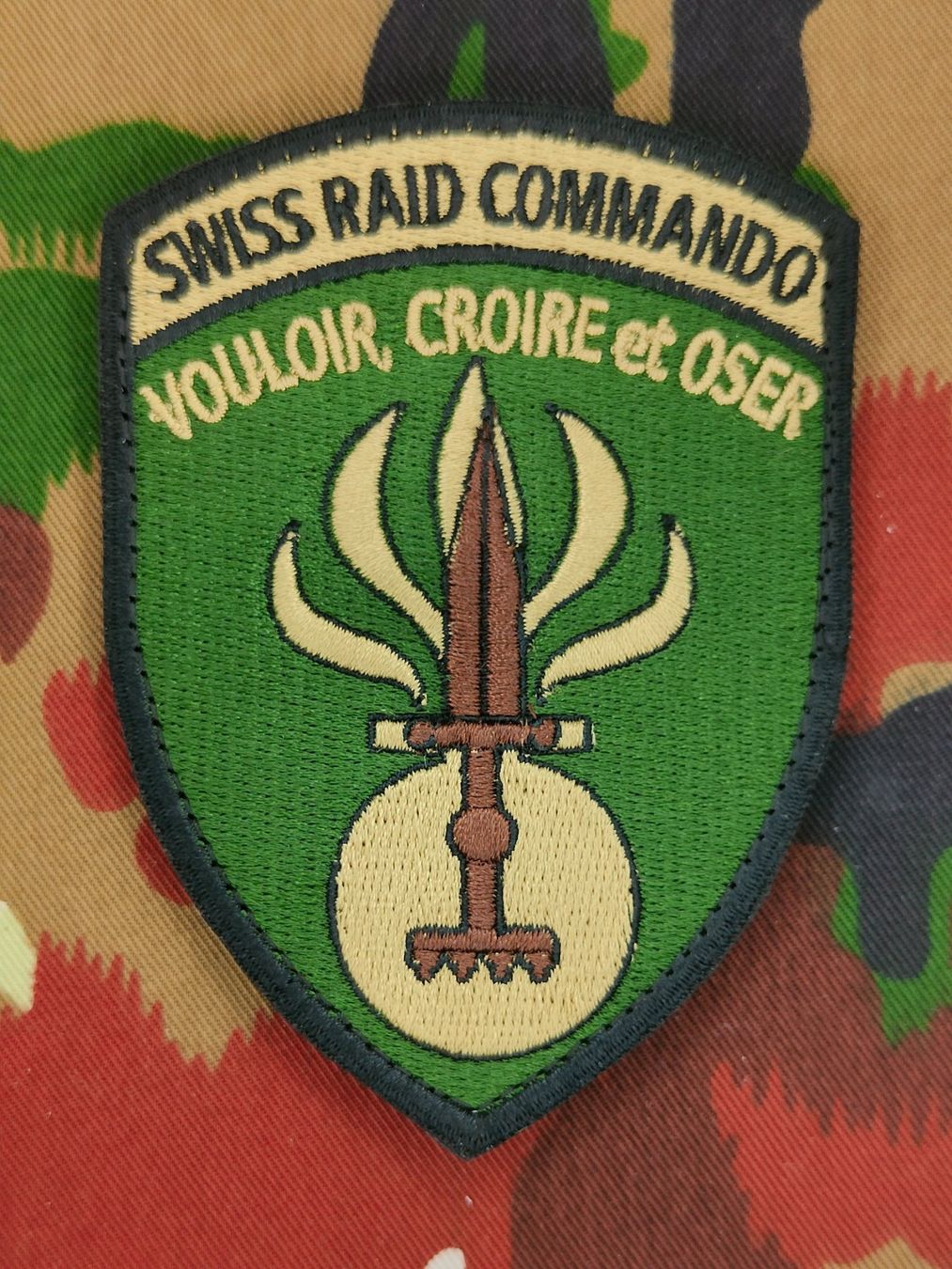 Schweizer Armee Placchette & Badge: Verbandsabzeichen SWISS RAID COMMANDO – Usato da Bauma venduto da SwissMilitaria