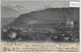 Spiez - Blümlisalp und Hondrichhügel - Kühe vaches