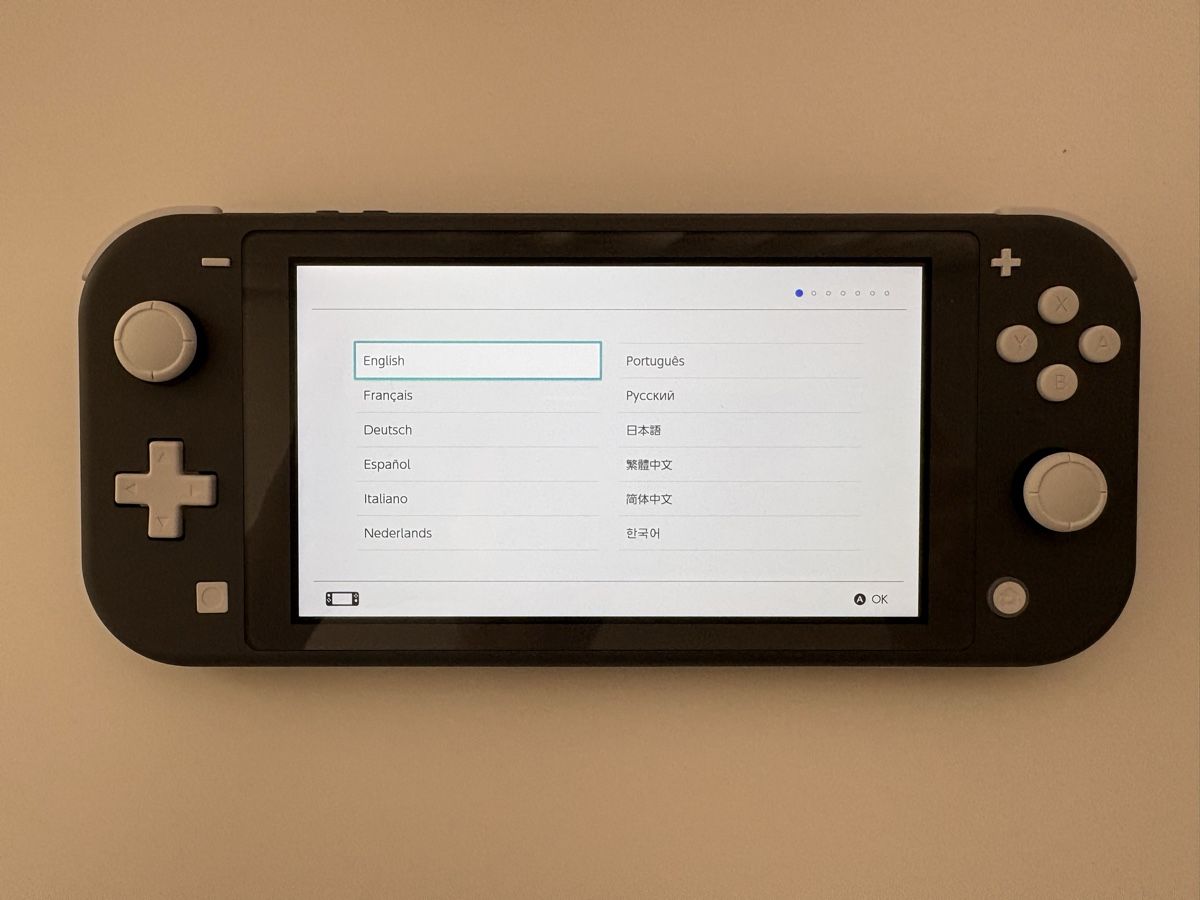 Nintendo Console: Nintendo Switch Lite Konsole Grau mit Netzteil – Nuovo (secondo la descrizione) da Neuhausen am Rheinfall venduto da Arual1214 5