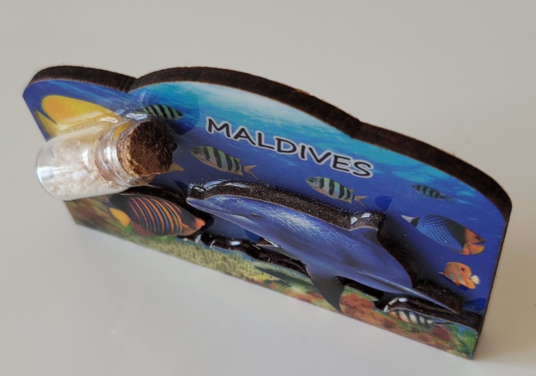 Calamite: Kühlschrank Magnet Maldives Malediven 5 x 8 cm – Usato da Zürich venduto da fourpaws 1