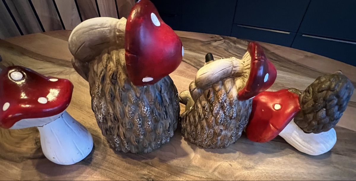Tutte le decorazioni: Igel mit Pilz, süsse Herbstdeko – Usato da Derendingen venduto da Laubfleckerli 5