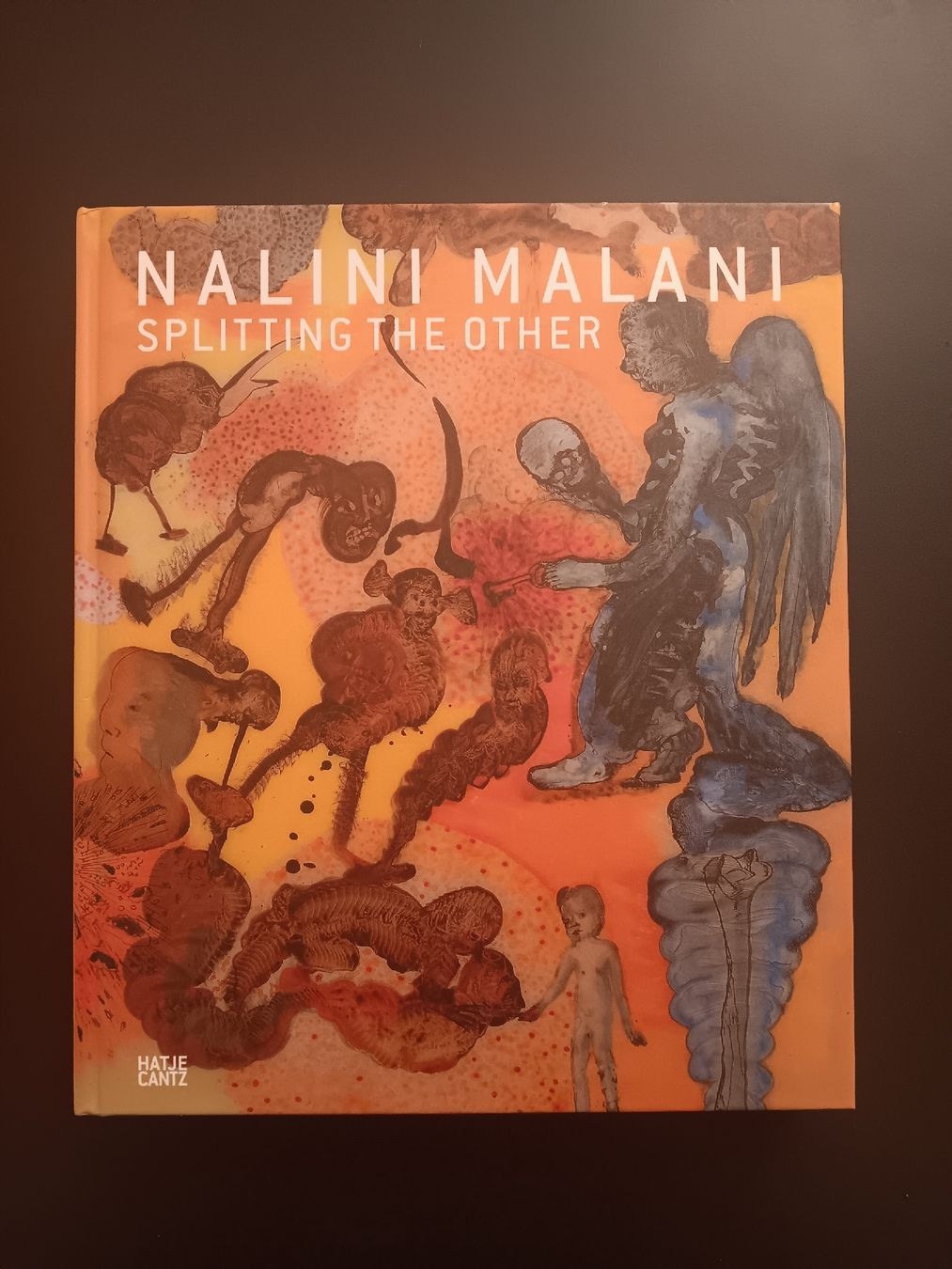 Bücher: Nalini Malani splitting the other – Neu (gemäss Beschreibung) aus Lausanne von Grabock