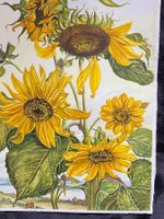 Sonnenblumen, Kundry Niederhauser