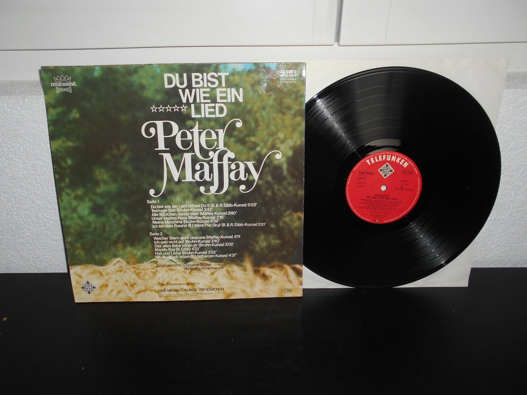 Dischi in vinile: Peter Maffay – Du Bist Wie Ein Lied / 1981 – Usato da Aarberg venduto da witchhunter01 1