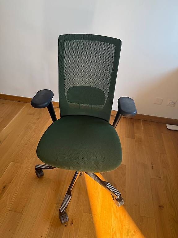 Stühle: Sedia ergonomica da scrivania/ufficio – Gebraucht aus Paradiso von fed_8dw7 4