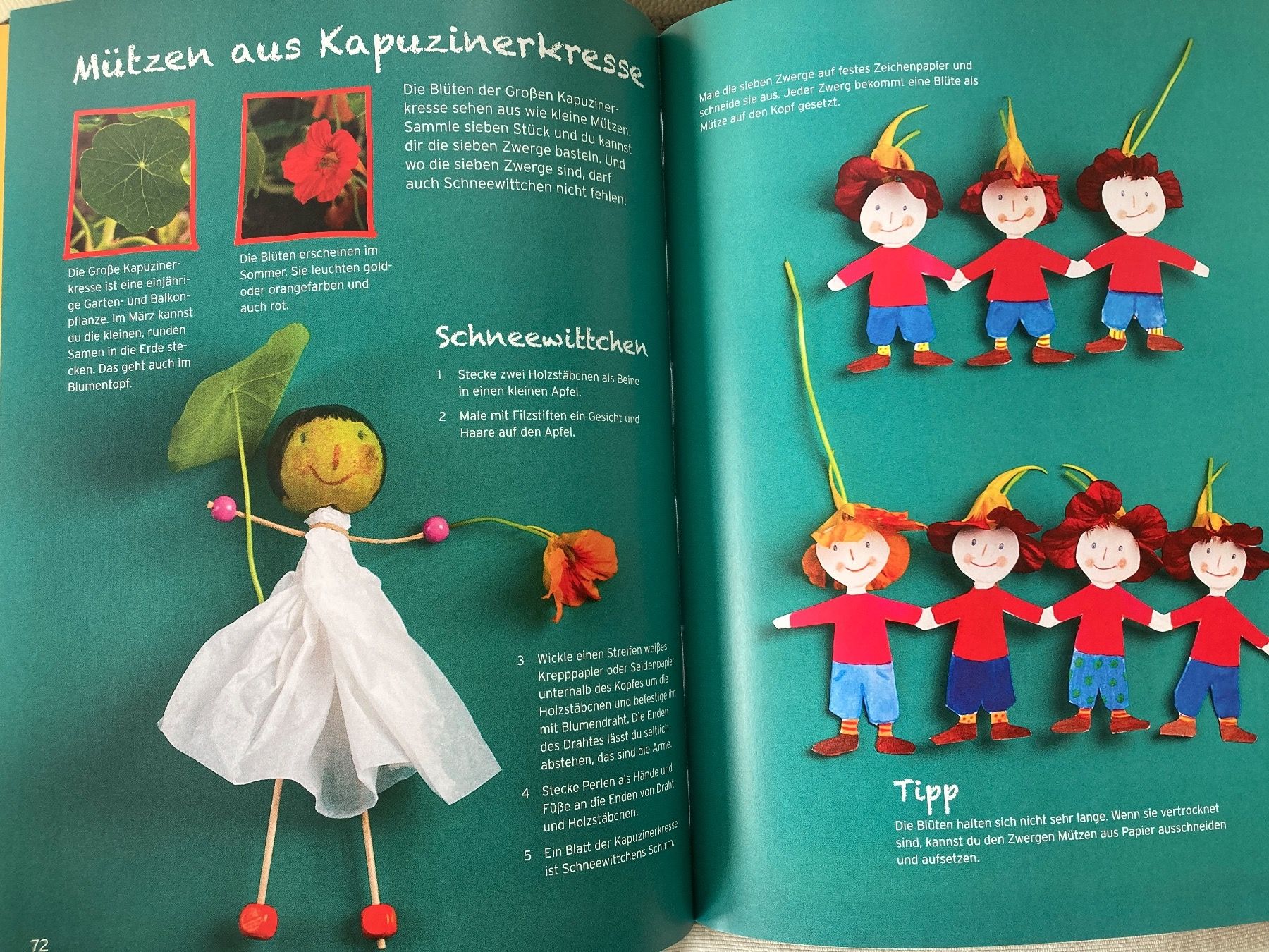 Libri: Das grosse Natur Bastelbuch – Usato da Baden venduto da Yoyo1 2