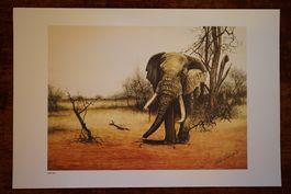 Kunstdruck / Print Alone 1986 (Elephant) by Rob Crombie