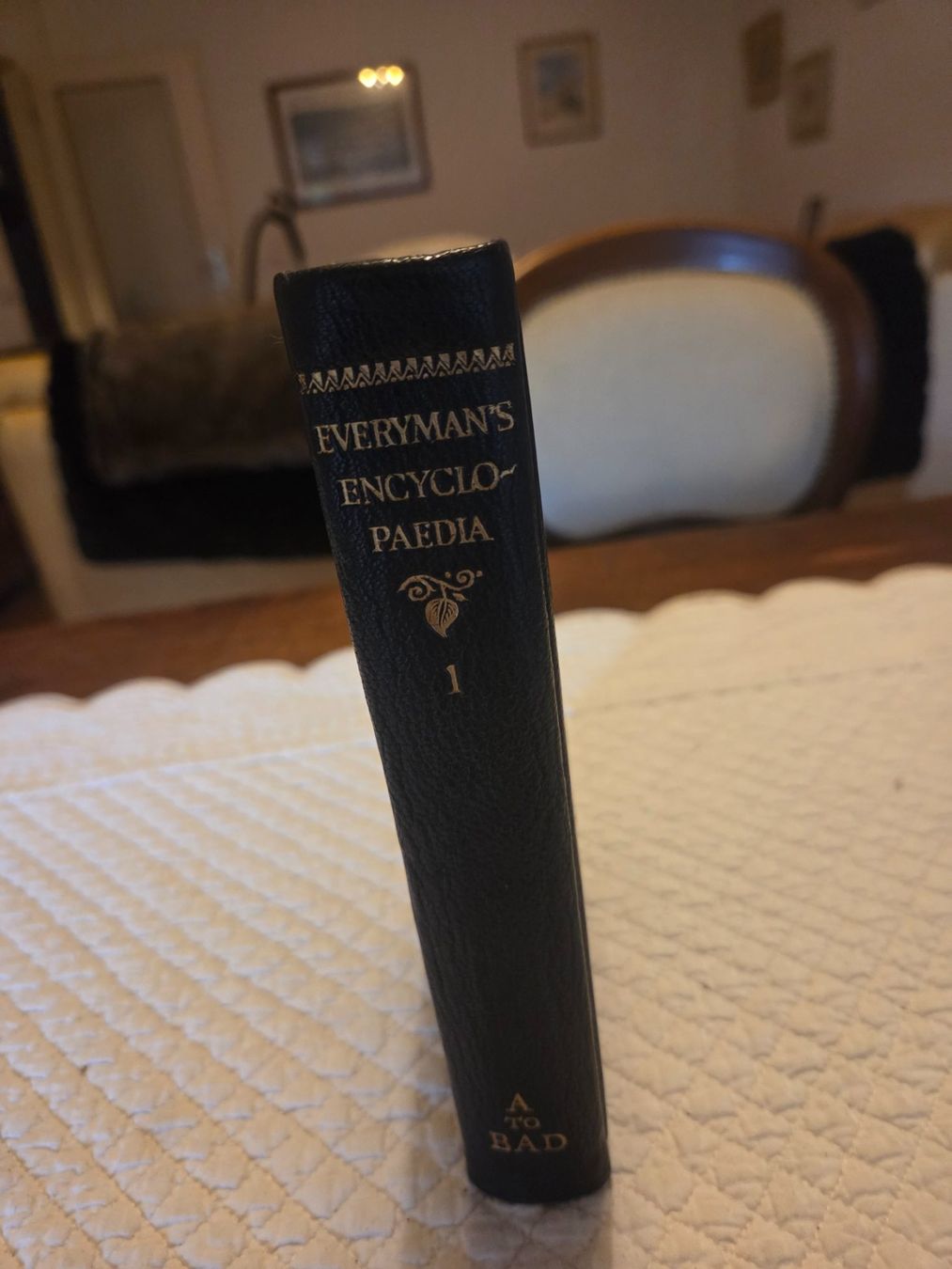 Libri: Everyman's Encyclopediae 1931  1932 – Usato da Genève venduto da canin04