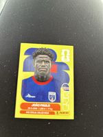 Panini CPV 8