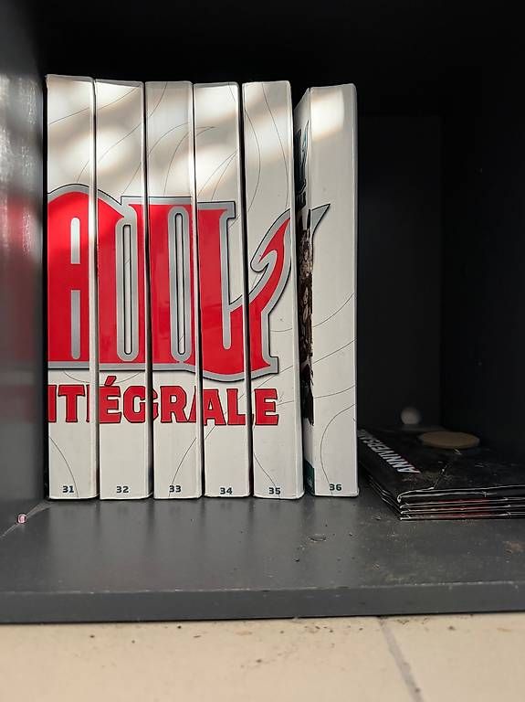BD: Fairy Tail  Collection complète Hachette grand format – D'occasion à Genève par lau_2rj5 4