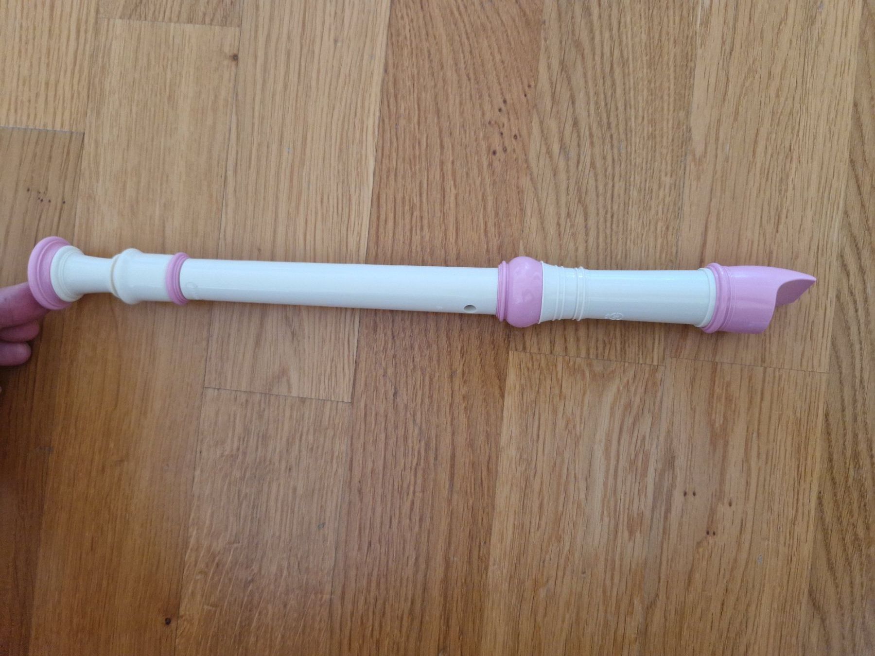 Strumenti musicali: Kinder Blockflöte mit  Teddyhülle / Etui – Usato da Buchs venduto da sonjaja 1
