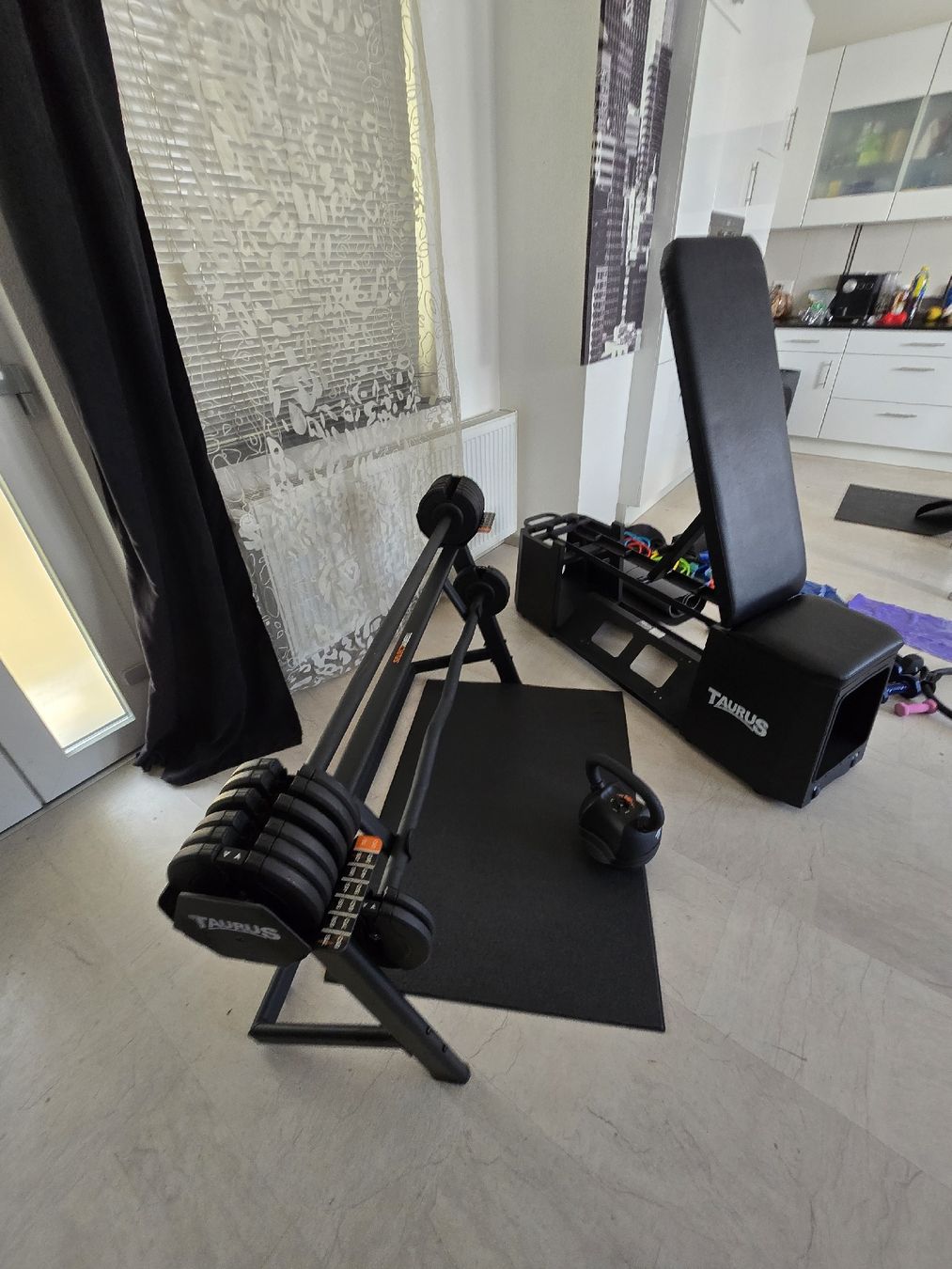 Taurus Hometrainer: Taurus Homegym komplett – Usato da Derendingen venduto da S.Skorbi 1