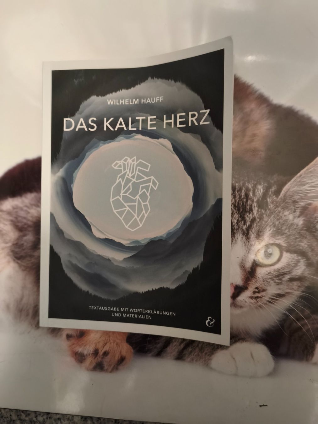 Libri: Das Kalte Herz von Wilhelm Hauff – Nuovo (secondo la descrizione) da Starrkirch-Wil venduto da wae_xd2j