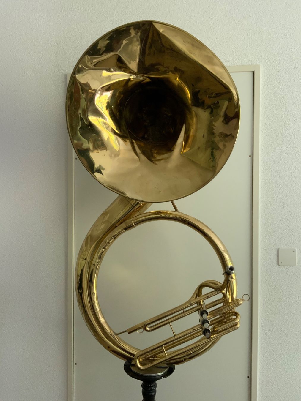 Sculture & Statue: Skulptur Tuba – Usato da Kreuzlingen venduto da son_8cwm 4