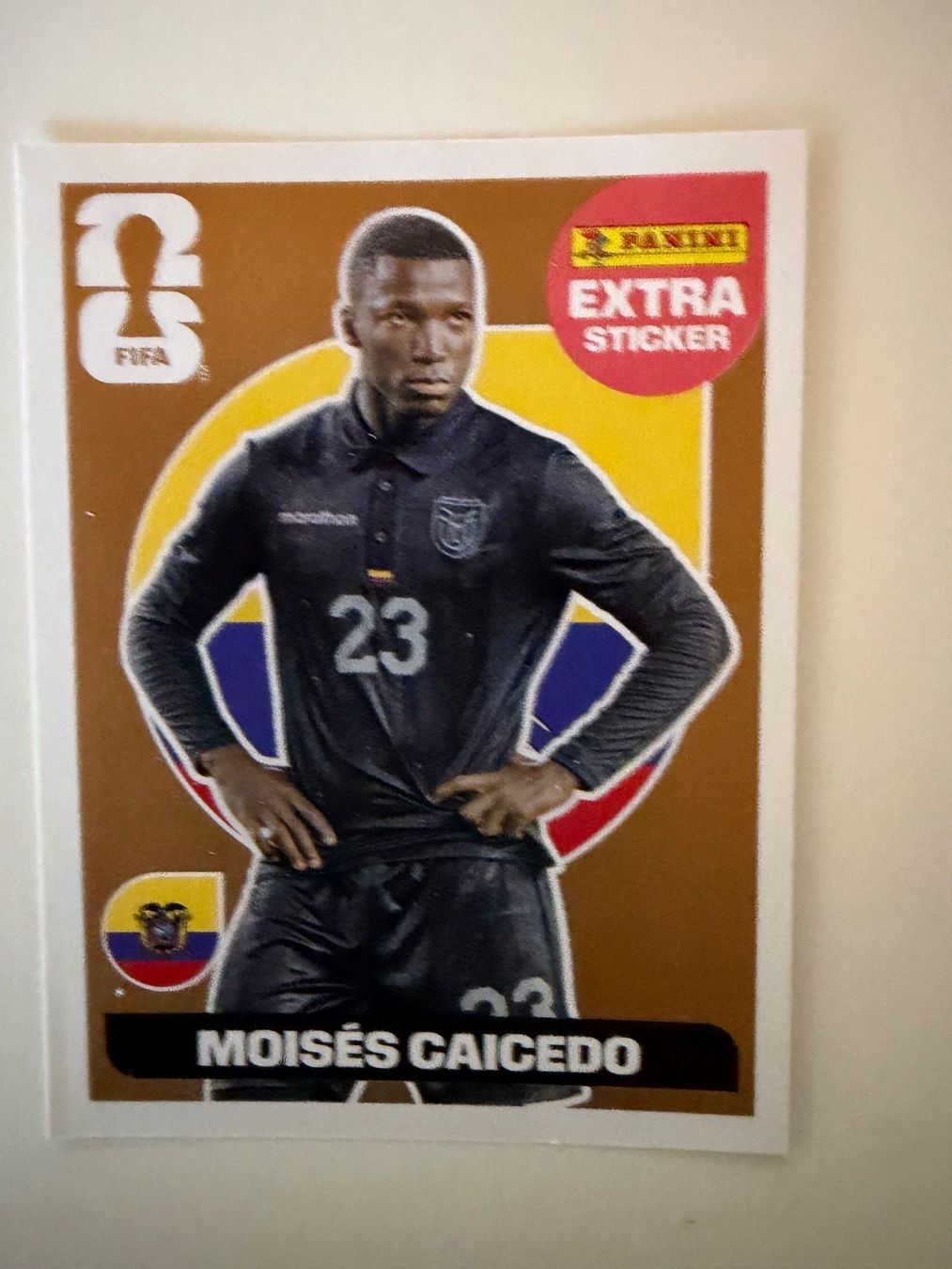 Panini Sammelbilder & Trading cards: Extra Sticker Moisés Caicedo – Neu (gemäss Beschreibung) aus Richenthal von Shiva
