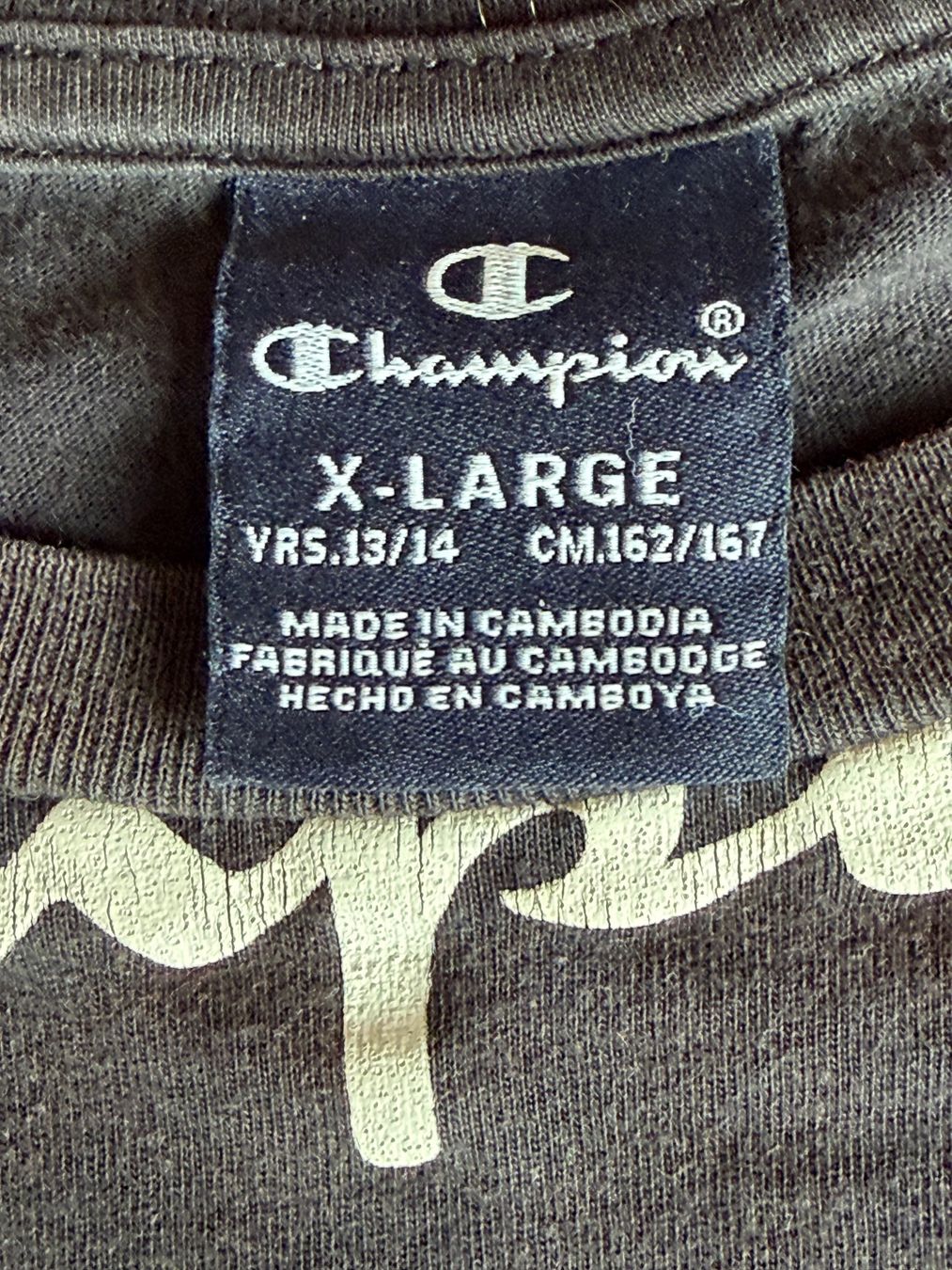 Champion T-shirt: CHAMPION T-Shirt 100% Baumwolle – Usato da Interlaken venduto da Bona55 4