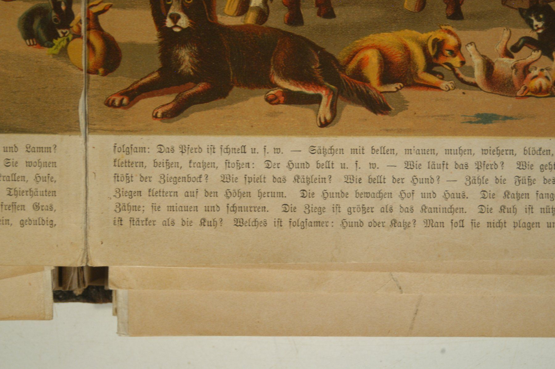 Bücher: Staubs Bilderwerk – Gebraucht aus Herisau von Wisen 5