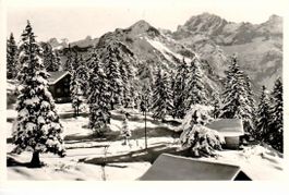 Ferienchalets auf Brusti ob Attinghausen