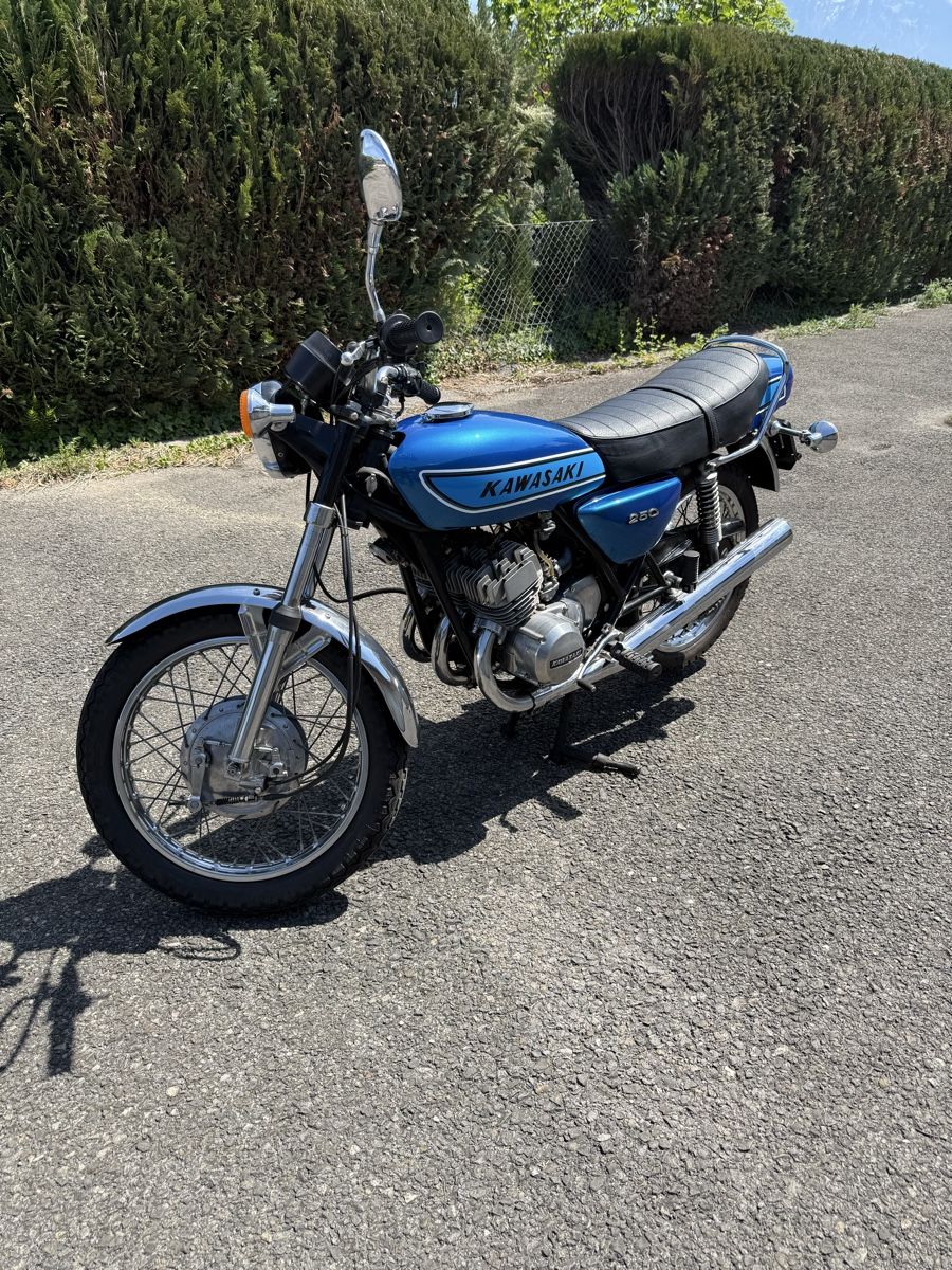 Kawasaki Strada: Kawasaki s1 250 – Usato da Bouveret venduto da vit_br9v 1