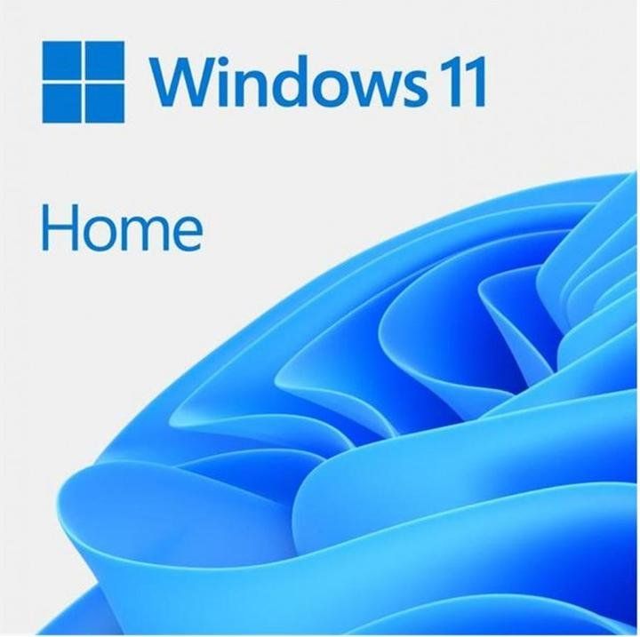 Microsoft Software: Microsoft Windows 11 Home – Usato da Balgach venduto da GZ-Tech