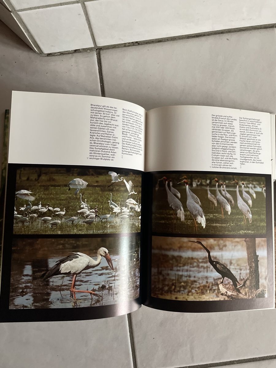 Libri: Zoo Indien von Silva – Usato da Kaiseraugst venduto da KlausSina 5