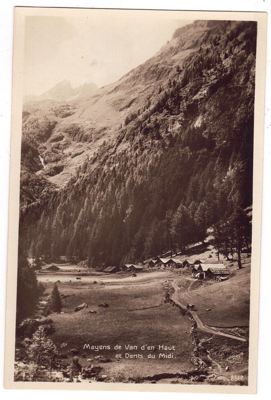 Cartoline postali: Mayen de Van d'en Haut – Usato da La Tour-de-Peilz venduto da amjust