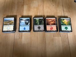 MTG Basic Lands 60 von jedem Typ