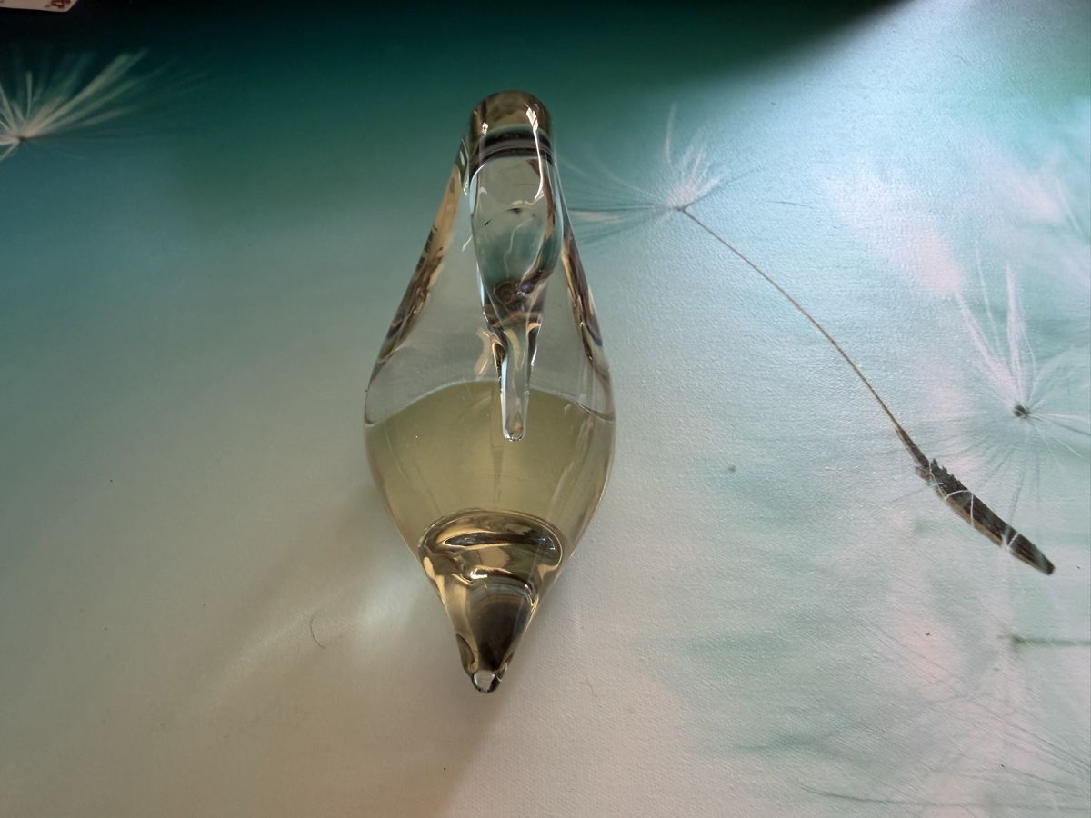 Sculture & Statue: Putzender Schwan - Glas Skulptur – Nuovo (secondo la descrizione) da Wolfwil venduto da jam_xzn2 1